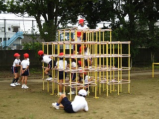 IMG_0054 IMG_0054