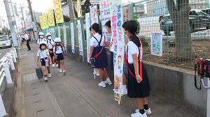 IMG_6329 IMG_6329