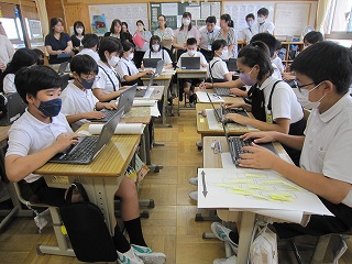 IMG_0271 IMG_0271