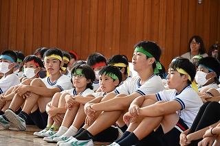 KMY_8119 KMY_8119