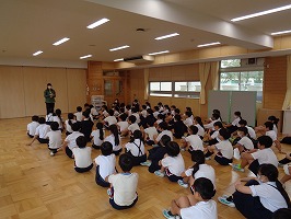DSC00575 DSC00575