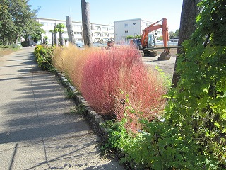 IMG_0068 IMG_0068