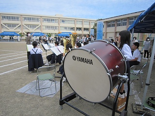 IMG_0087 IMG_0087