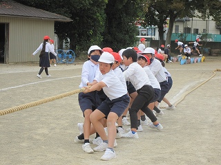 IMG_0228 IMG_0228