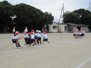 IMG_0225 IMG_0225