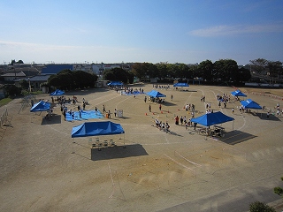 IMG_0265 IMG_0265