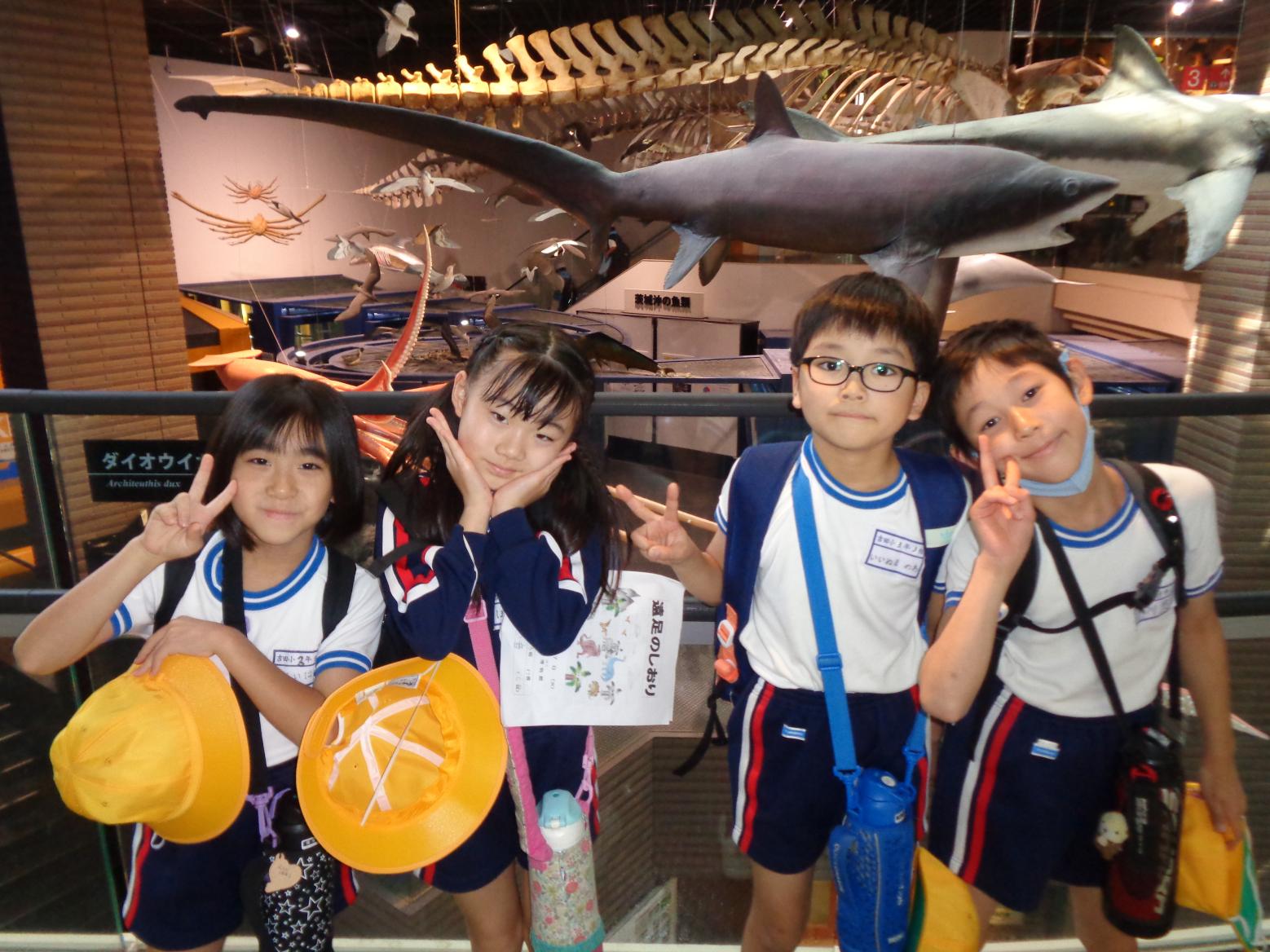 DSC00853 DSC00853