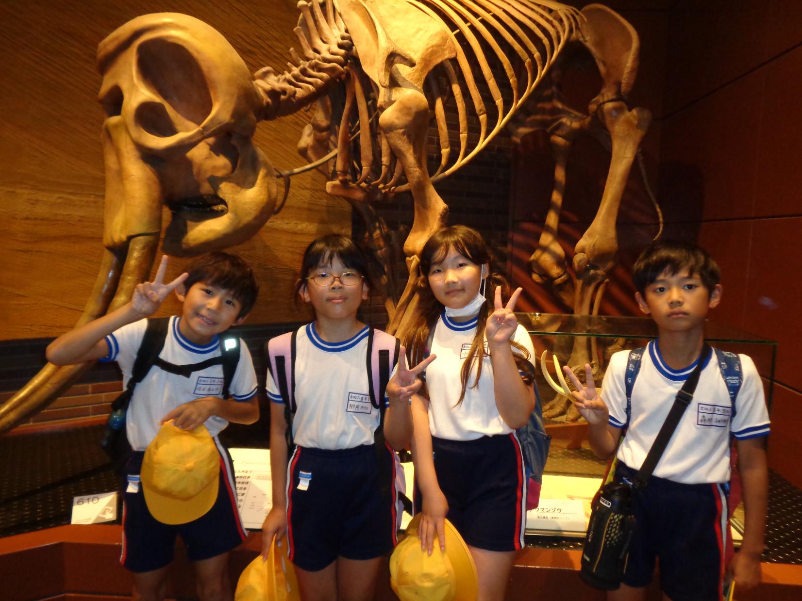 DSC00873 DSC00873