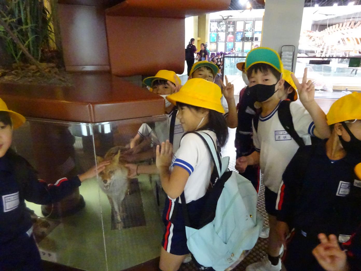DSC03599 DSC03599