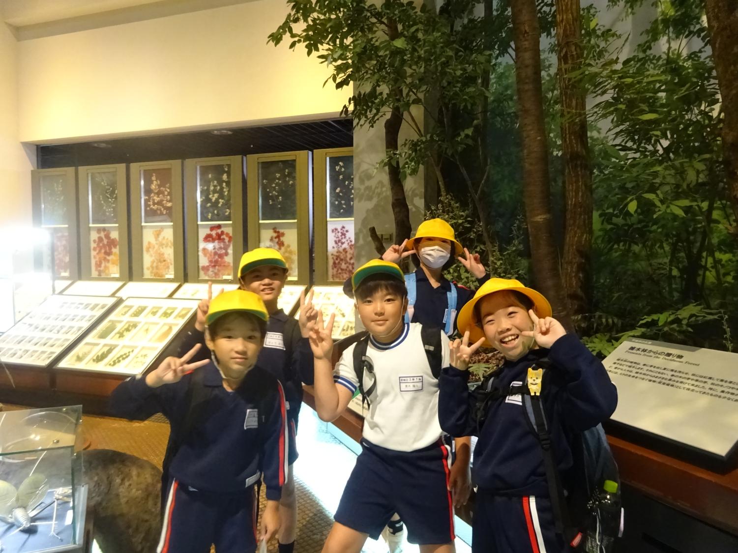 DSC03619 DSC03619