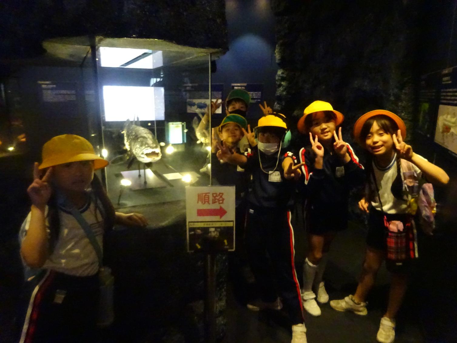 DSC03634 DSC03634