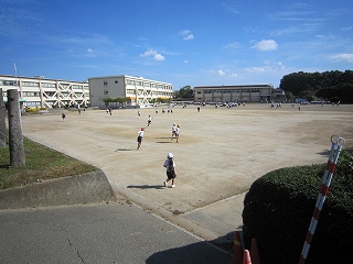 IMG_0413 IMG_0413