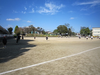 IMG_0416 IMG_0416