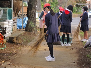 IMG_0031 IMG_0031