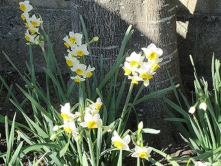 IMG_0053