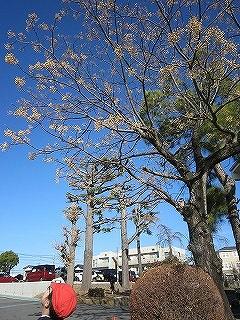 IMG_0055 IMG_0055
