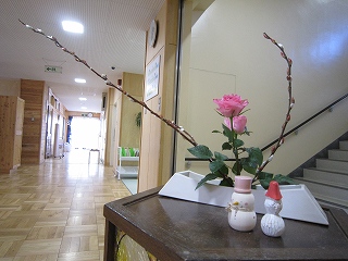 IMG_0083 IMG_0083