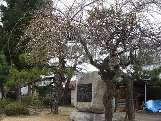 IMG_0006 IMG_0006