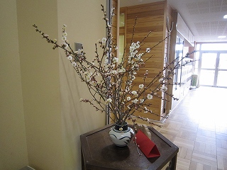 IMG_0157 IMG_0157