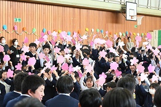 DSC_2780 DSC_2780
