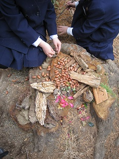 IMG_0032 IMG_0032