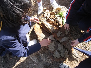 IMG_0231 IMG_0231