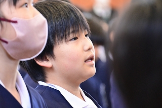 DSC_3217 DSC_3217