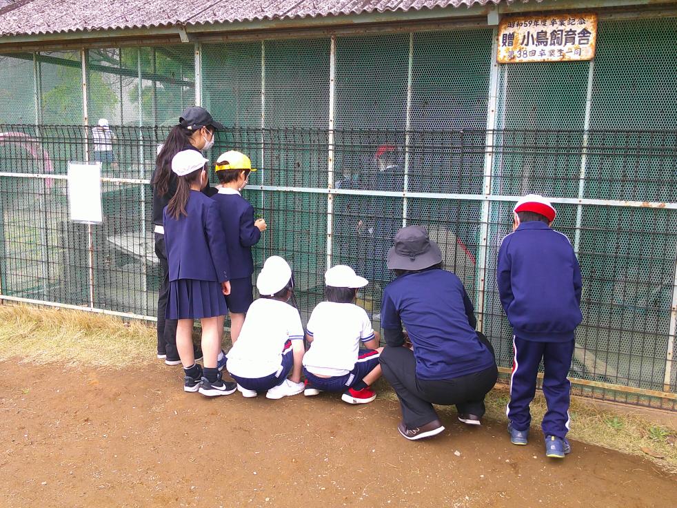 写真1 写真1