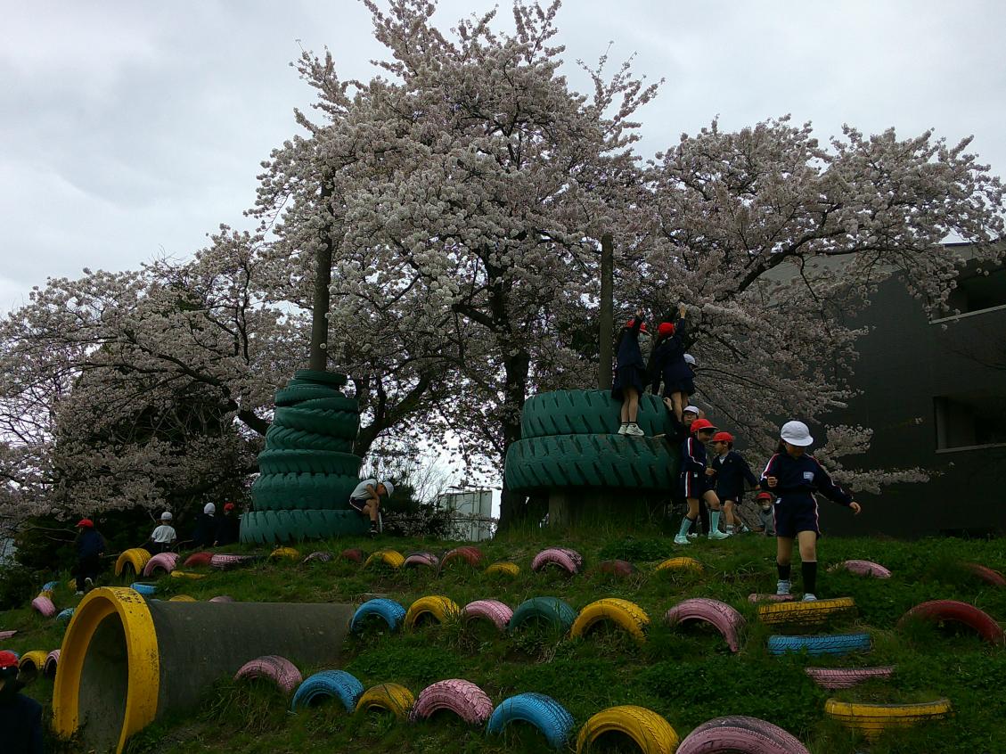 写真2 写真2