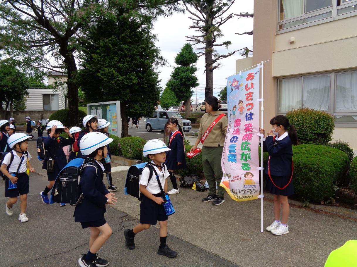 写真1 写真1