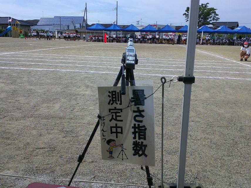 写真1 写真1