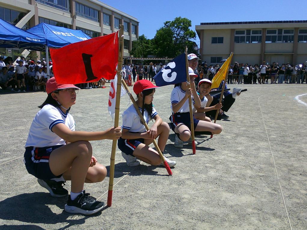 写真6 写真6