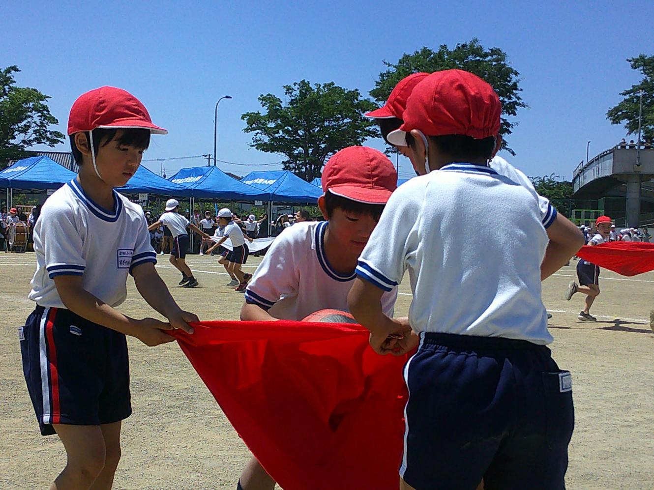 写真11 写真11