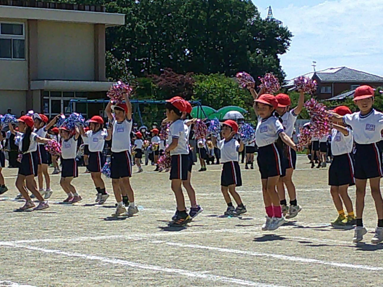 DSCF0449 DSCF0449