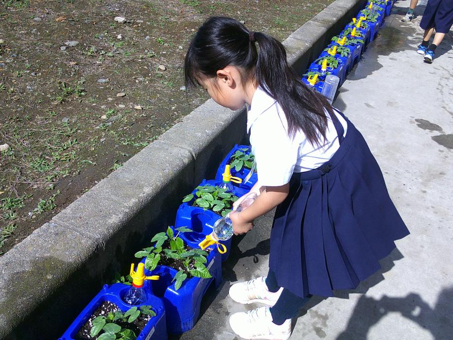 写真1 写真1