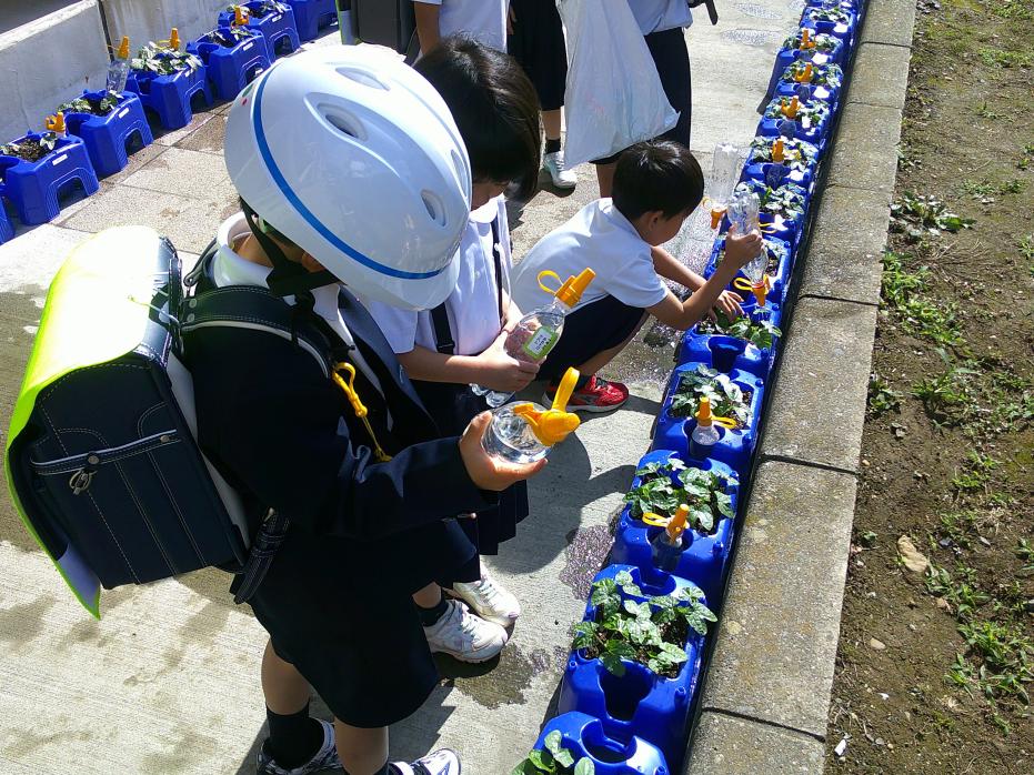 写真2 写真2