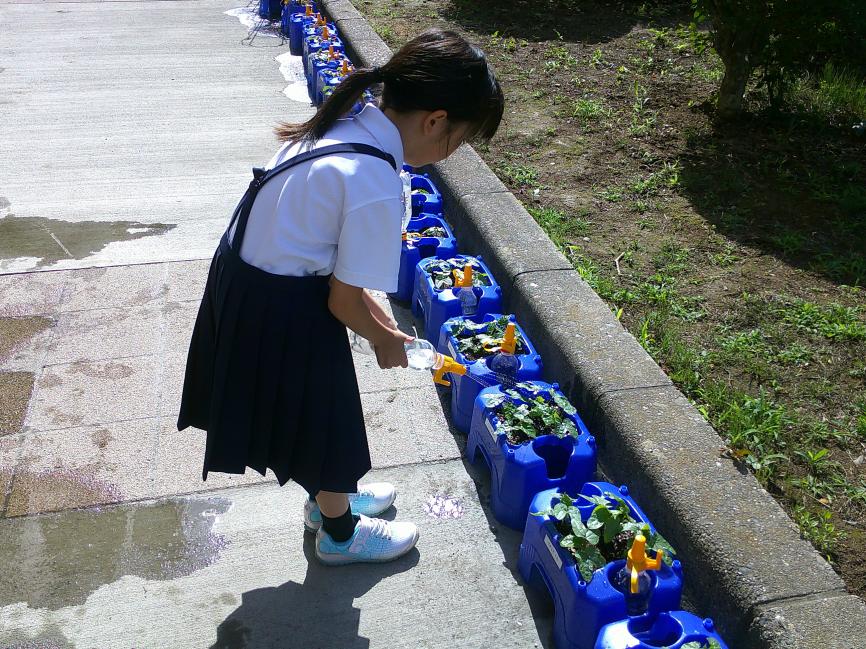 写真4 写真4