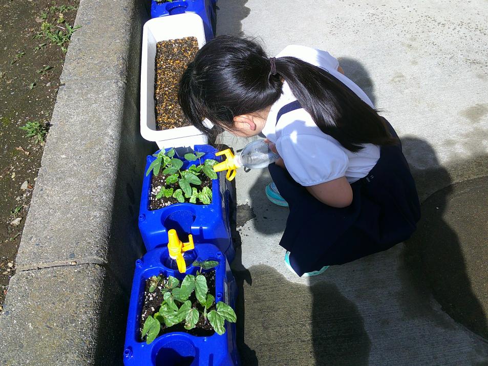 写真7 写真7