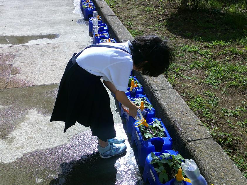 写真8 写真8