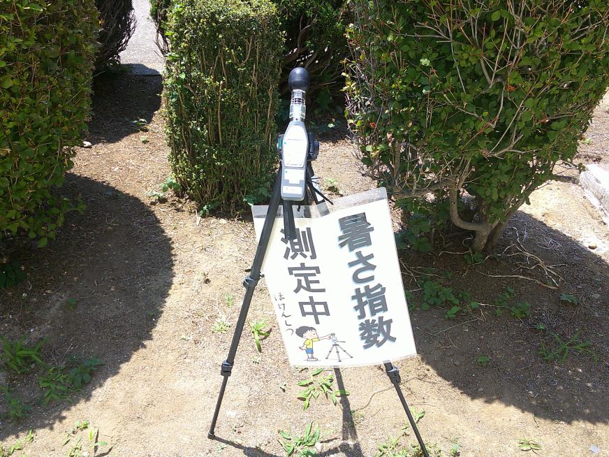 写真1 写真1