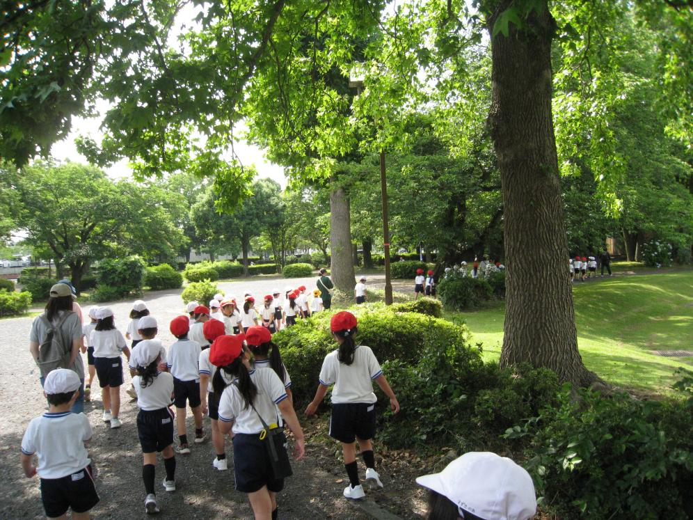 IMG_7300 IMG_7300