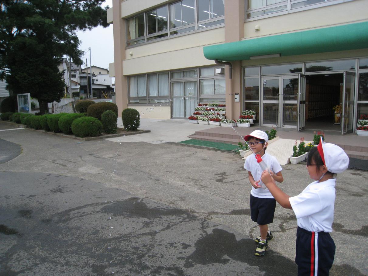 IMG_7361 IMG_7361
