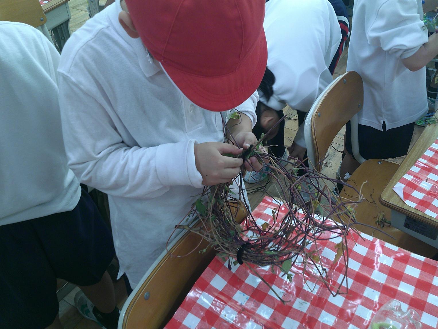 DSCF0499 DSCF0499
