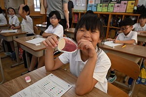 DSC_6287 DSC_6287