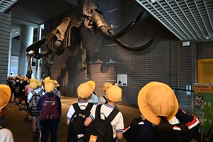 DSC_6465 DSC_6465