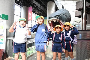 DSC_6496 DSC_6496