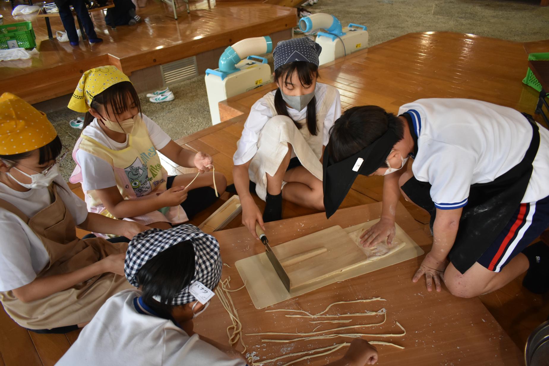 DSC_1237 DSC_1237