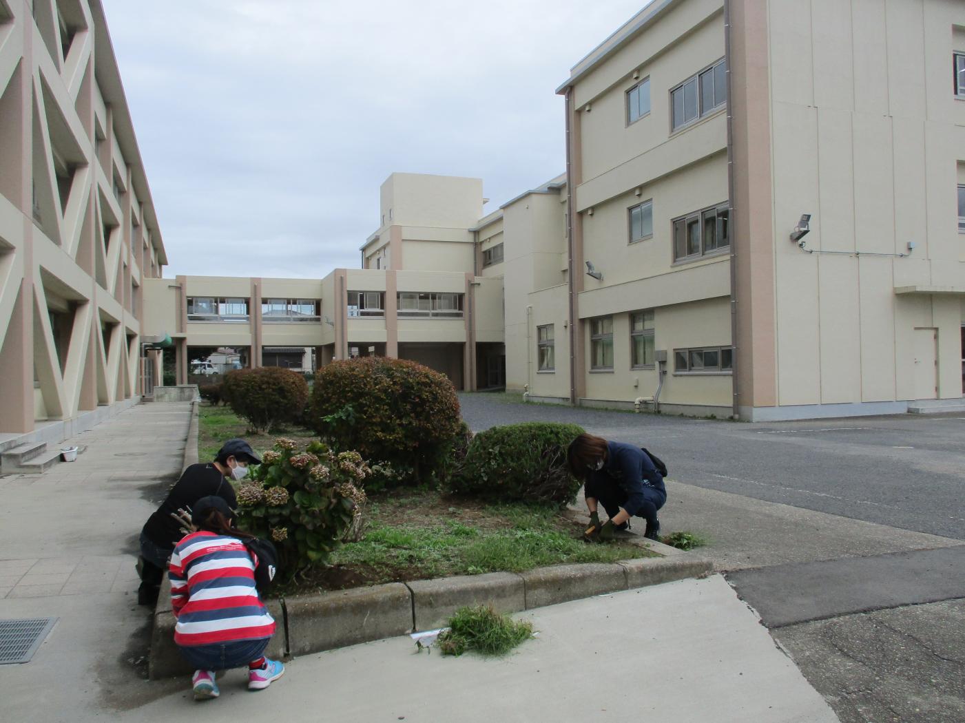 写真1 写真1