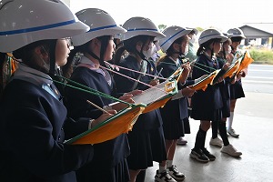 DSC_6955 DSC_6955