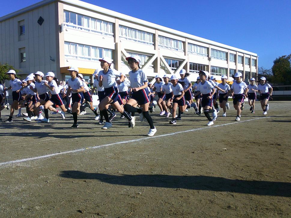 写真1 写真1